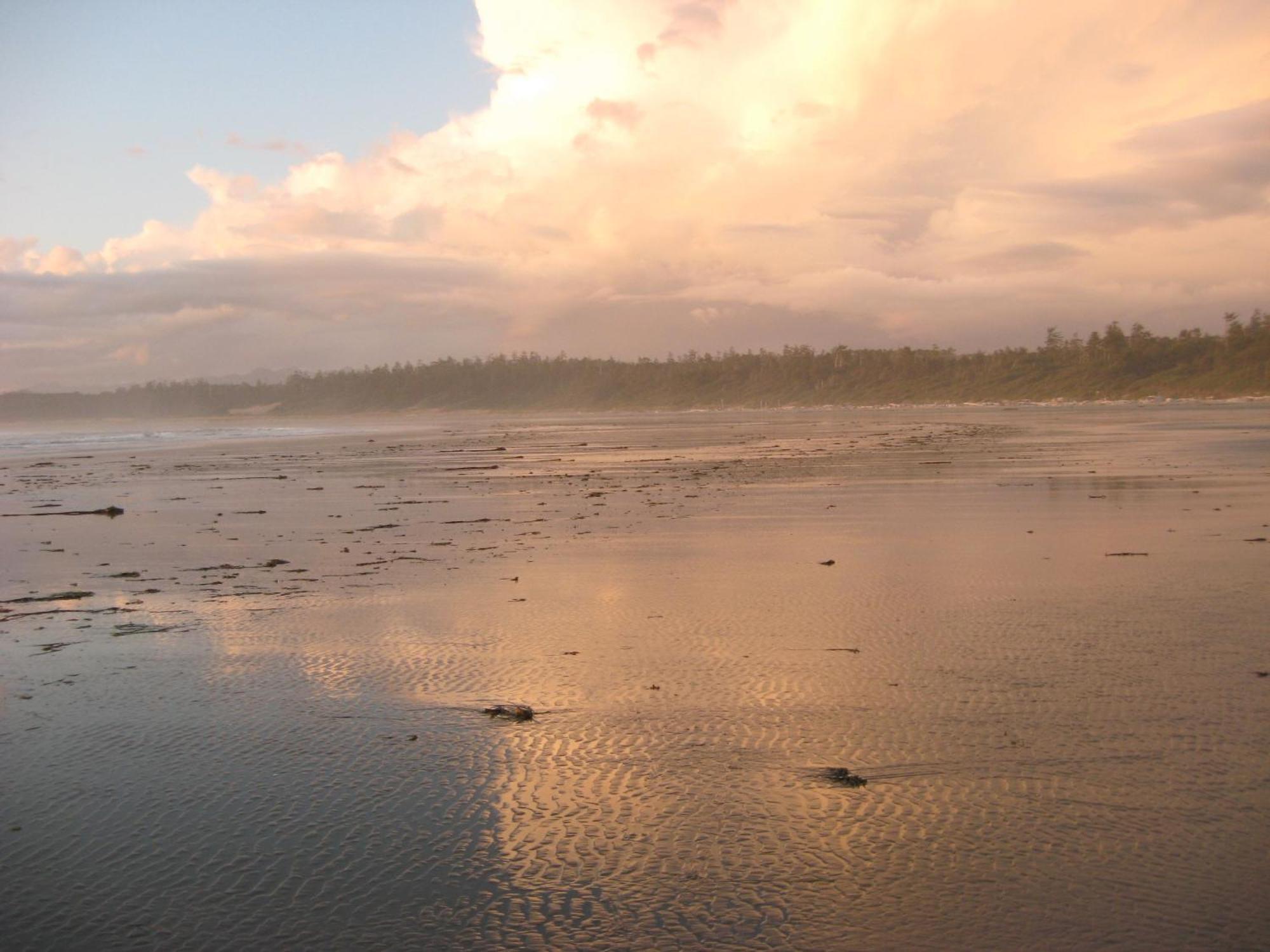 Bed and Breakfast Moon And Sixpence Ucluelet Exterior foto